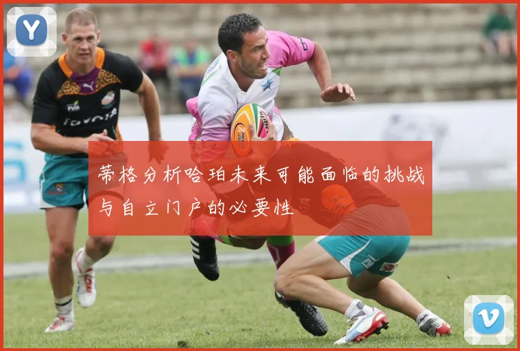 蒂格分析哈珀未来可能面临的挑战与自立门户的必要性